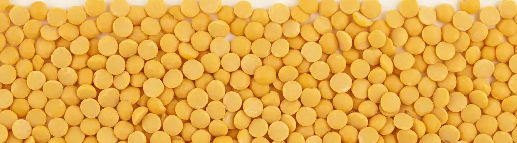 Yellow Lentils